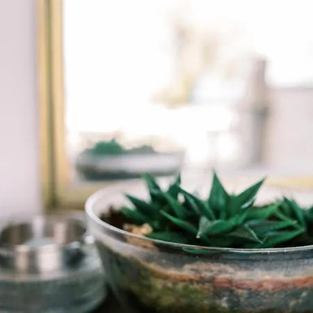 Σπίτι διακοπών Laplayasuites 1st *