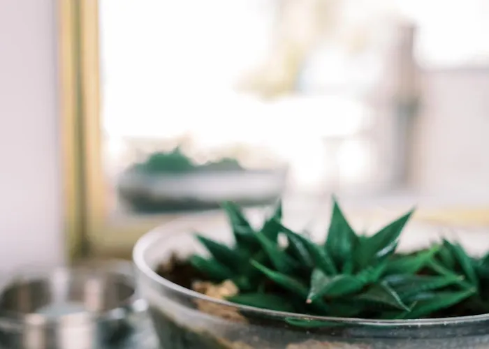 Feriehus Laplayasuites 1st *